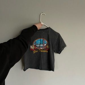 Black cropped Brandy Melville SF tee